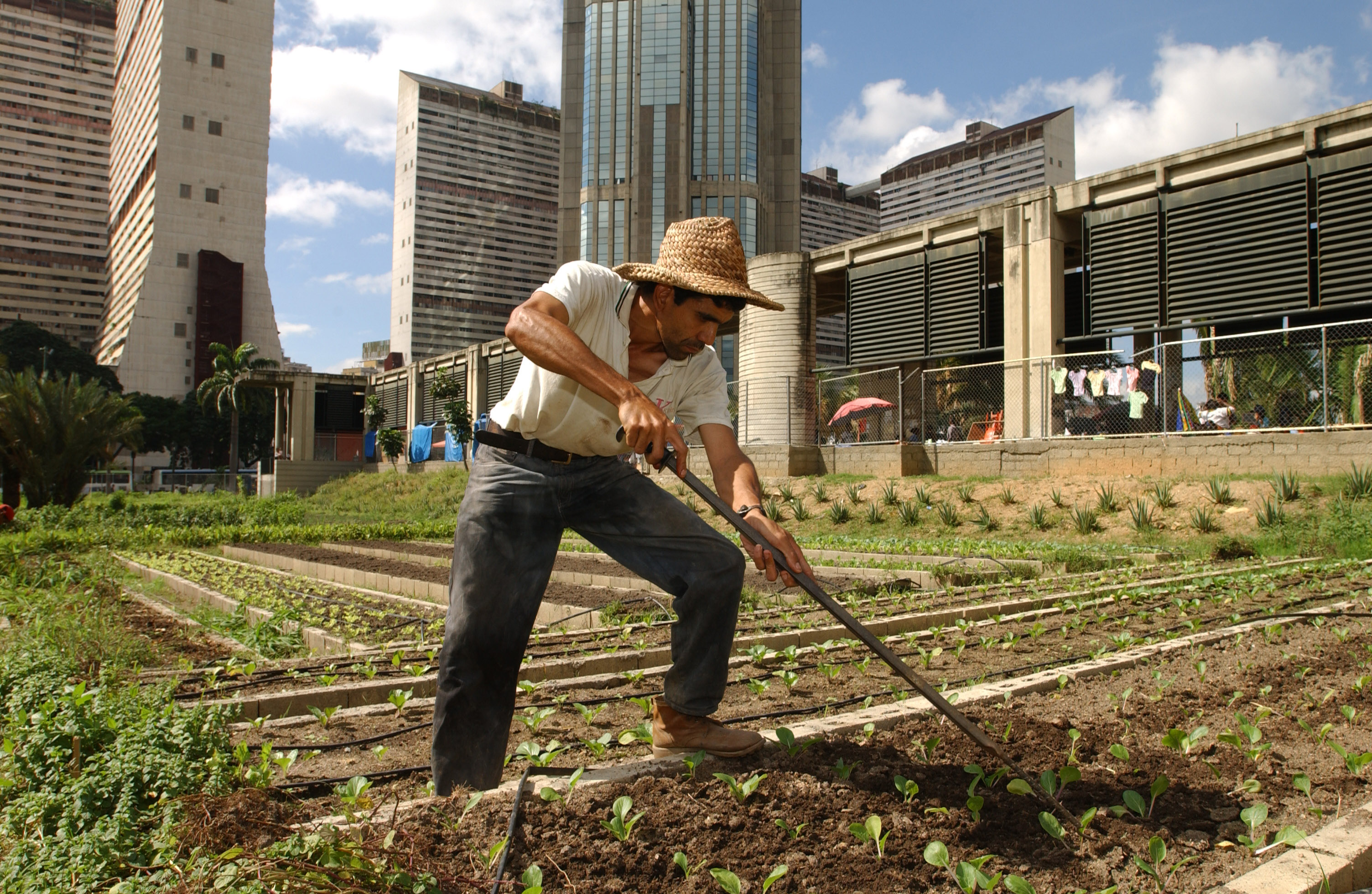 الزراعة الحضرية وشبه الحضرية